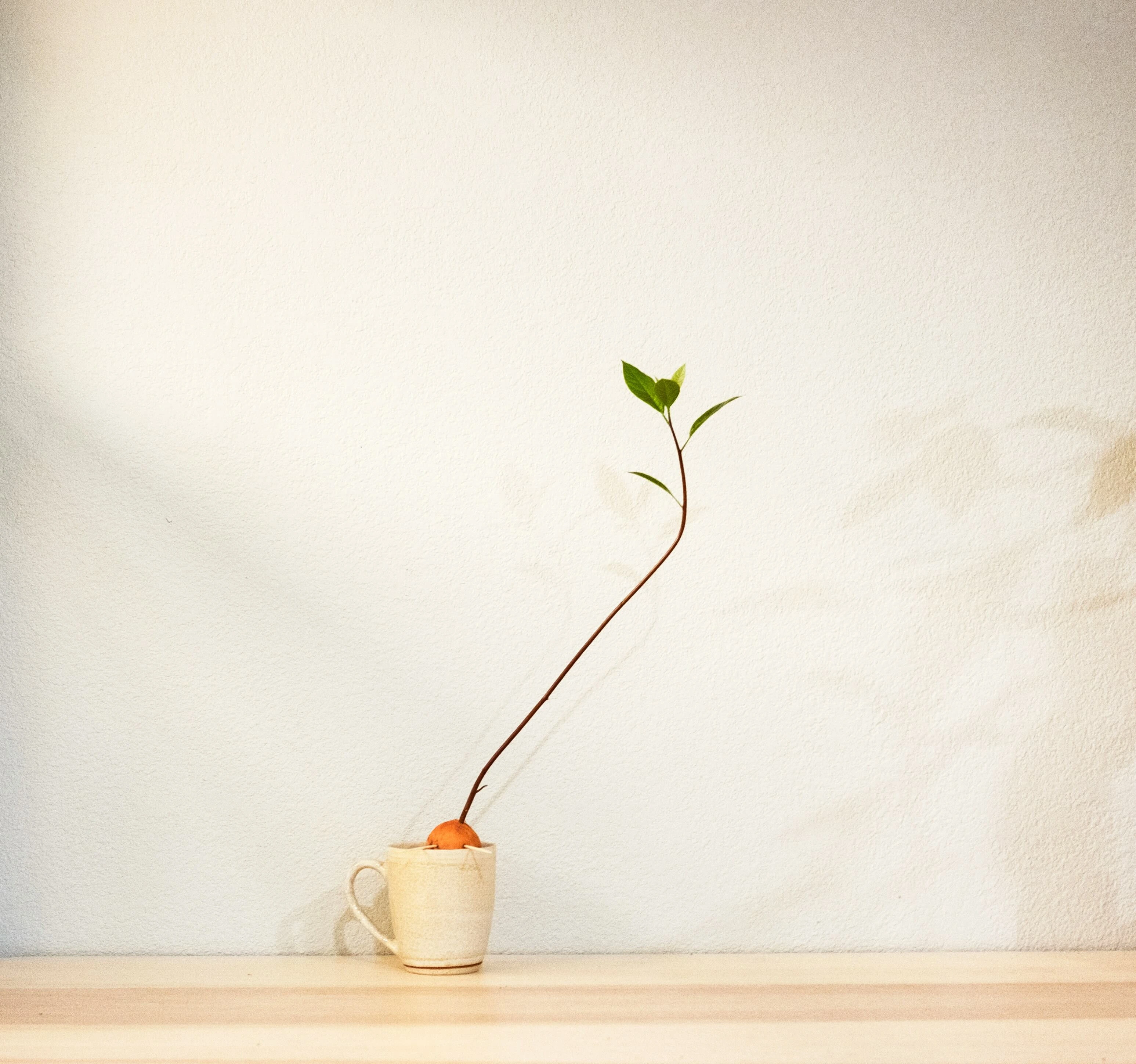 Child drinking water